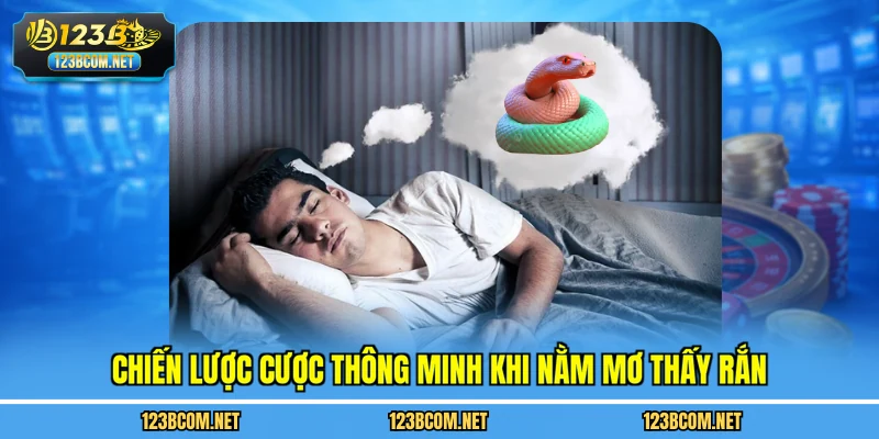 Chiến lược cược thông minh khi nằm mơ thấy rắn