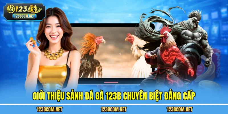 Giới thiệu sảnh đá gà 123B chuyên biệt đẳng cấp
