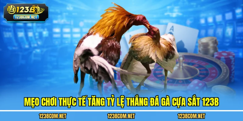 Mẹo chơi thực tế tăng tỷ lệ thắng đá gà cựa sắt 123B