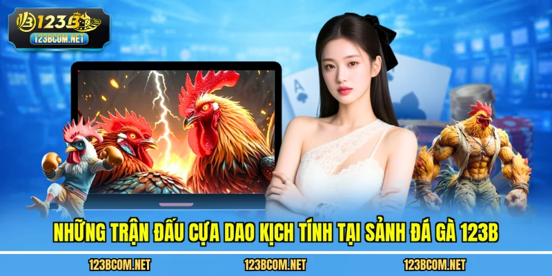 Những trận đấu cựa dao kịch tính tại sảnh đá gà 123B