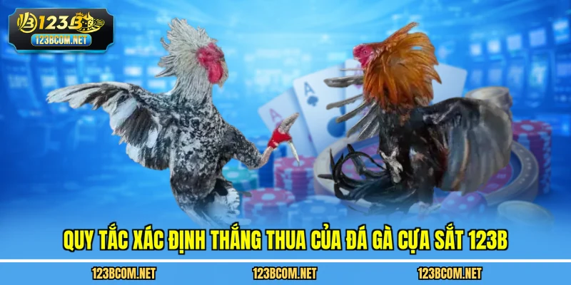 Quy tắc xác định thắng thua của đá gà cựa sắt 123B