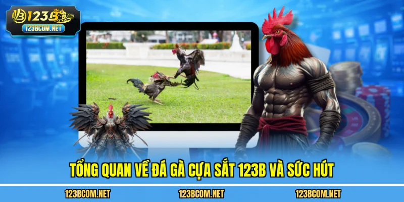 Tổng quan về đá gà cựa sắt 123B và sức hút